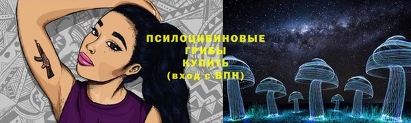 меф Заводоуковск