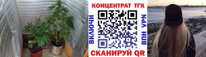 Купить где Ишим ТГК THC oil